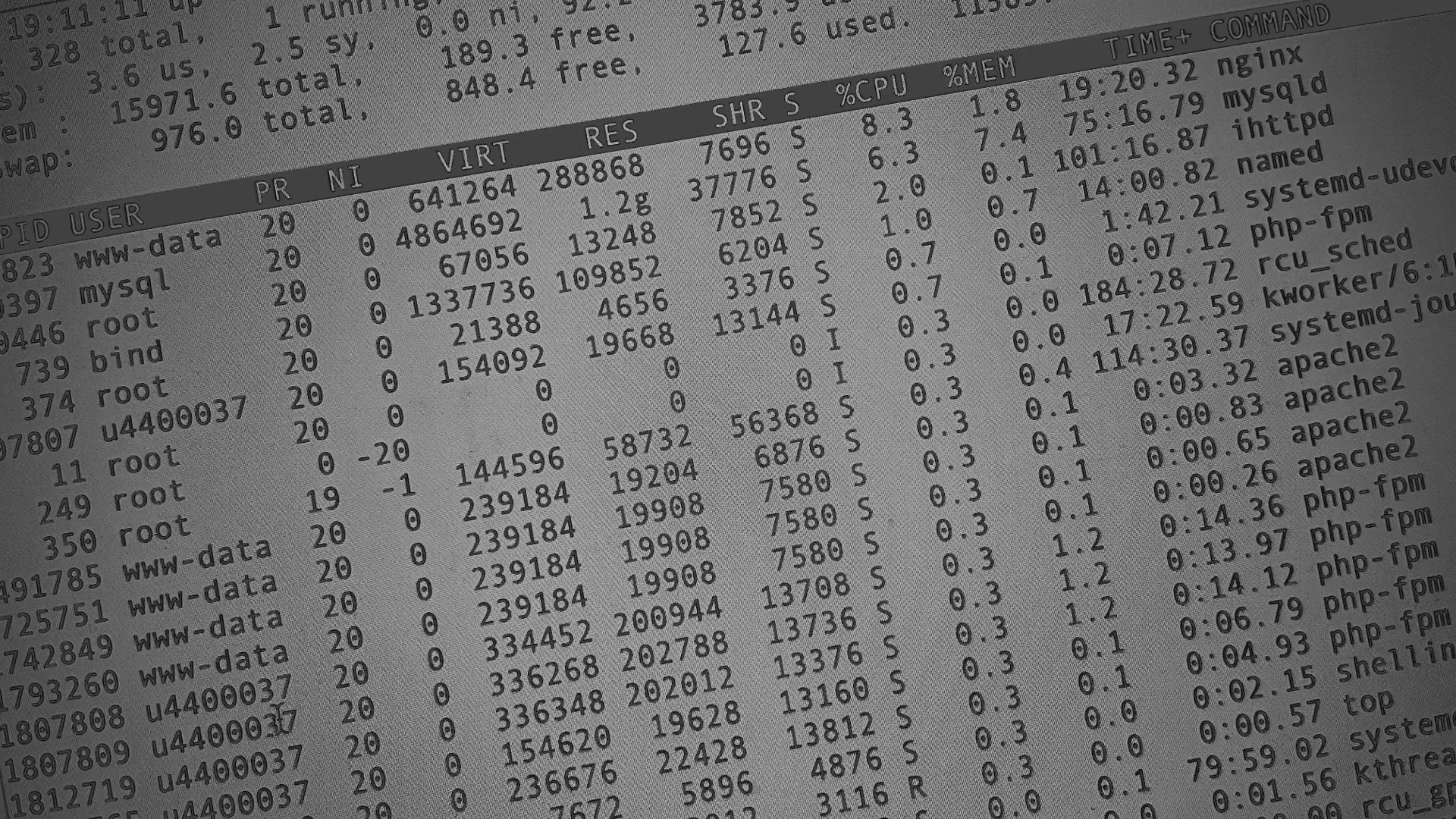 Настройка сервера в Елабуге