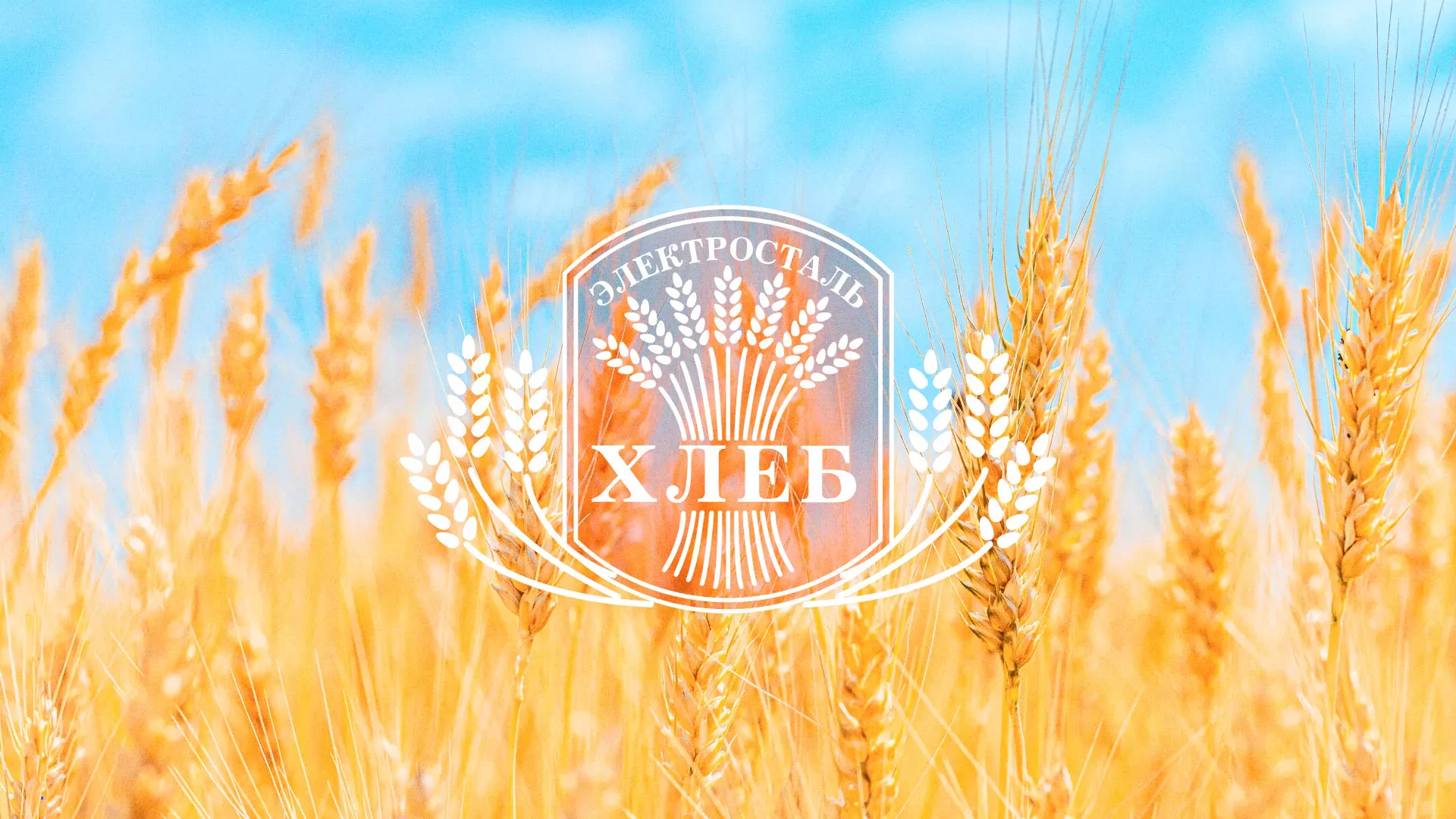 Создание сайта для хлебзавода в Елабуге