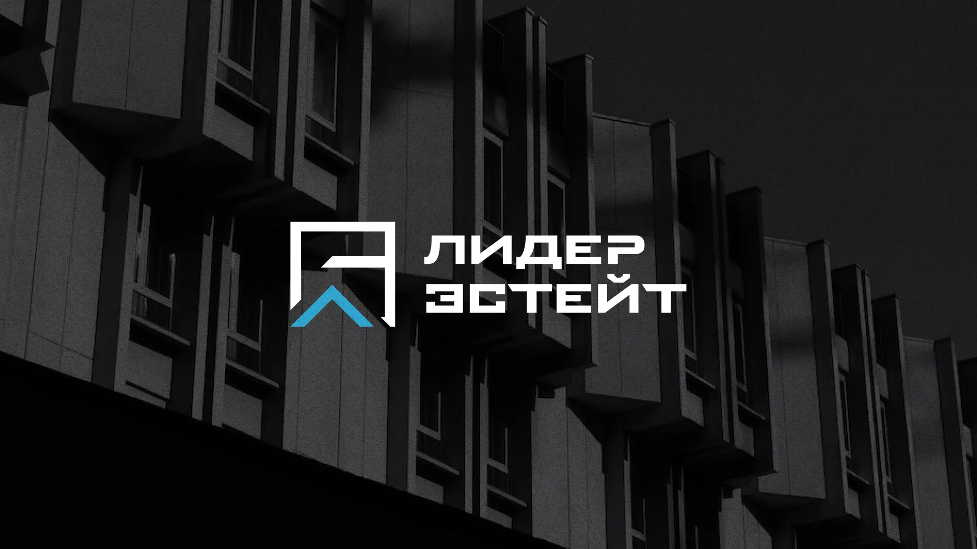 Разработка логотипа агентства недвижимости «Лидер Эстейт» в Елабуге